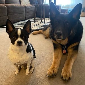 Meet your Posher, Meaghan